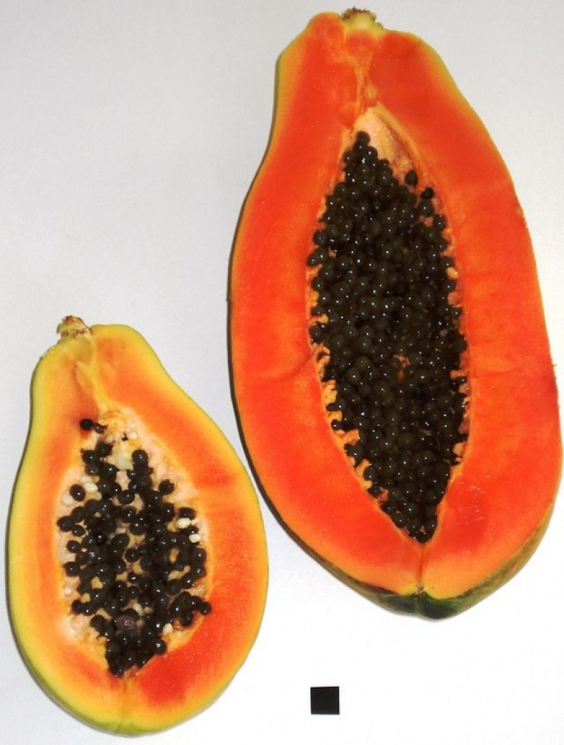 zwei halbe Papayas
