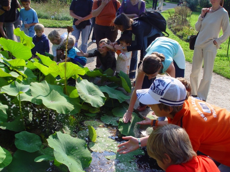 Bild: Grüne Schule des Botanischen Gartens der Universität Wien