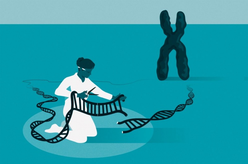 Johan Jarnestad/The Royal Swedish Academy of Sciences