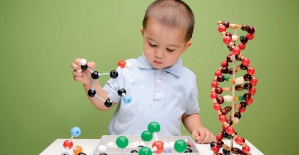 Die molekulare Organisation des Genoms ist komplexer als zunächst angenommen